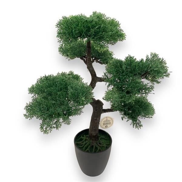 Saksılı Yapay Bonzai