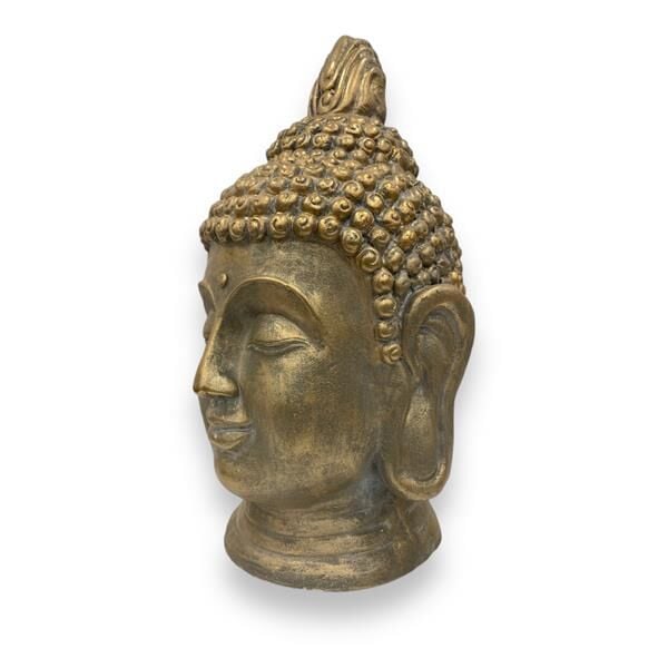 Buddha Başı Biblo