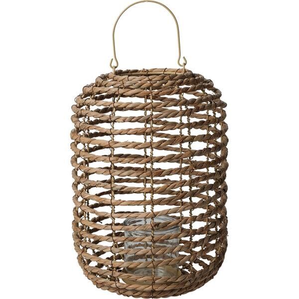 Su Kamışı Büyük Lantern