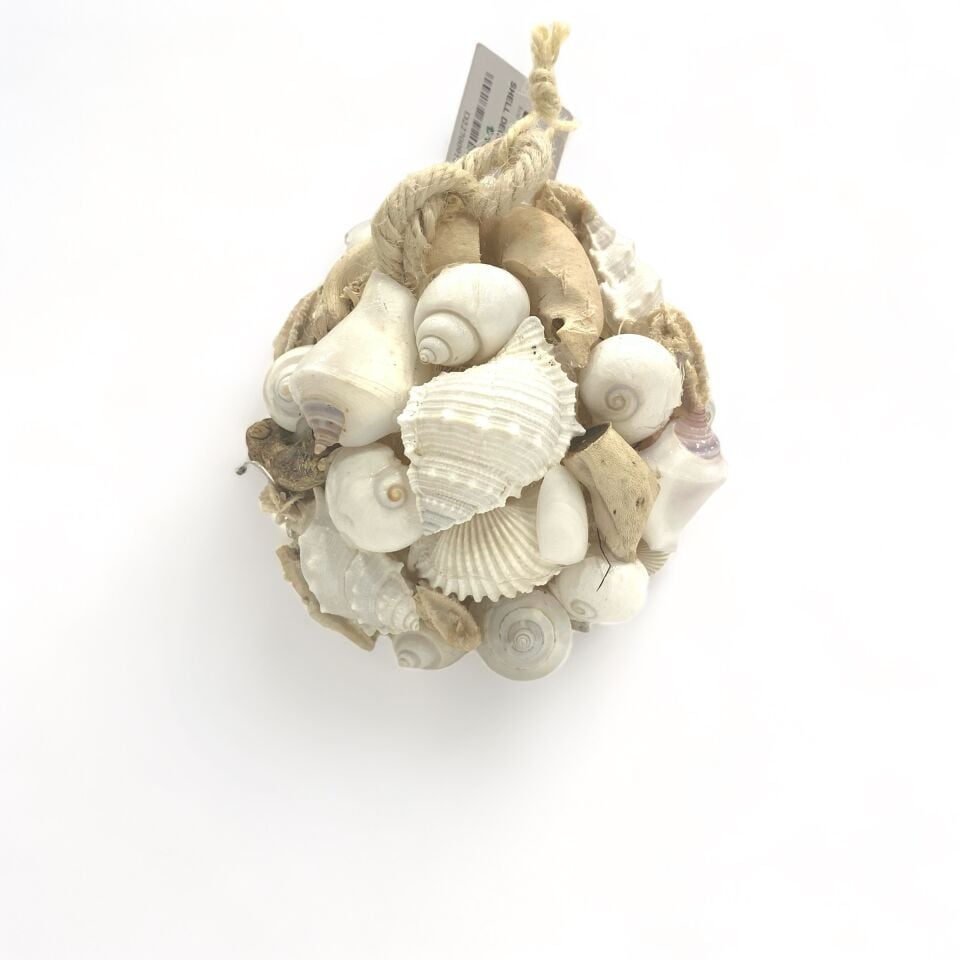Küçük Deniz Kabuğu Küre Dekoratif Obje
