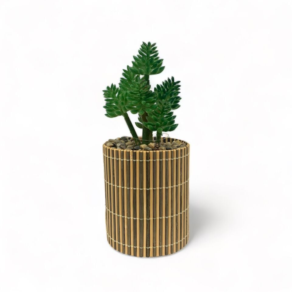 Bambu Saksılı Yapay Bonzai