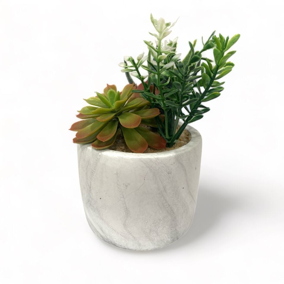 Mermer Saksılı Çoklu Bonzai